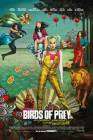 Birds of Prey poster